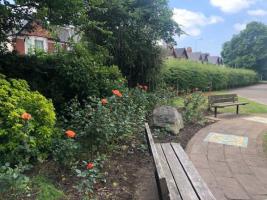 Rotary Garden at Whitchurch Library